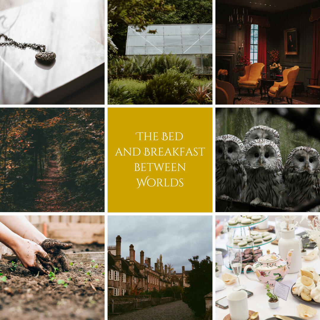 The Bed and Breakfast Between Worlds by J.H. Fleming